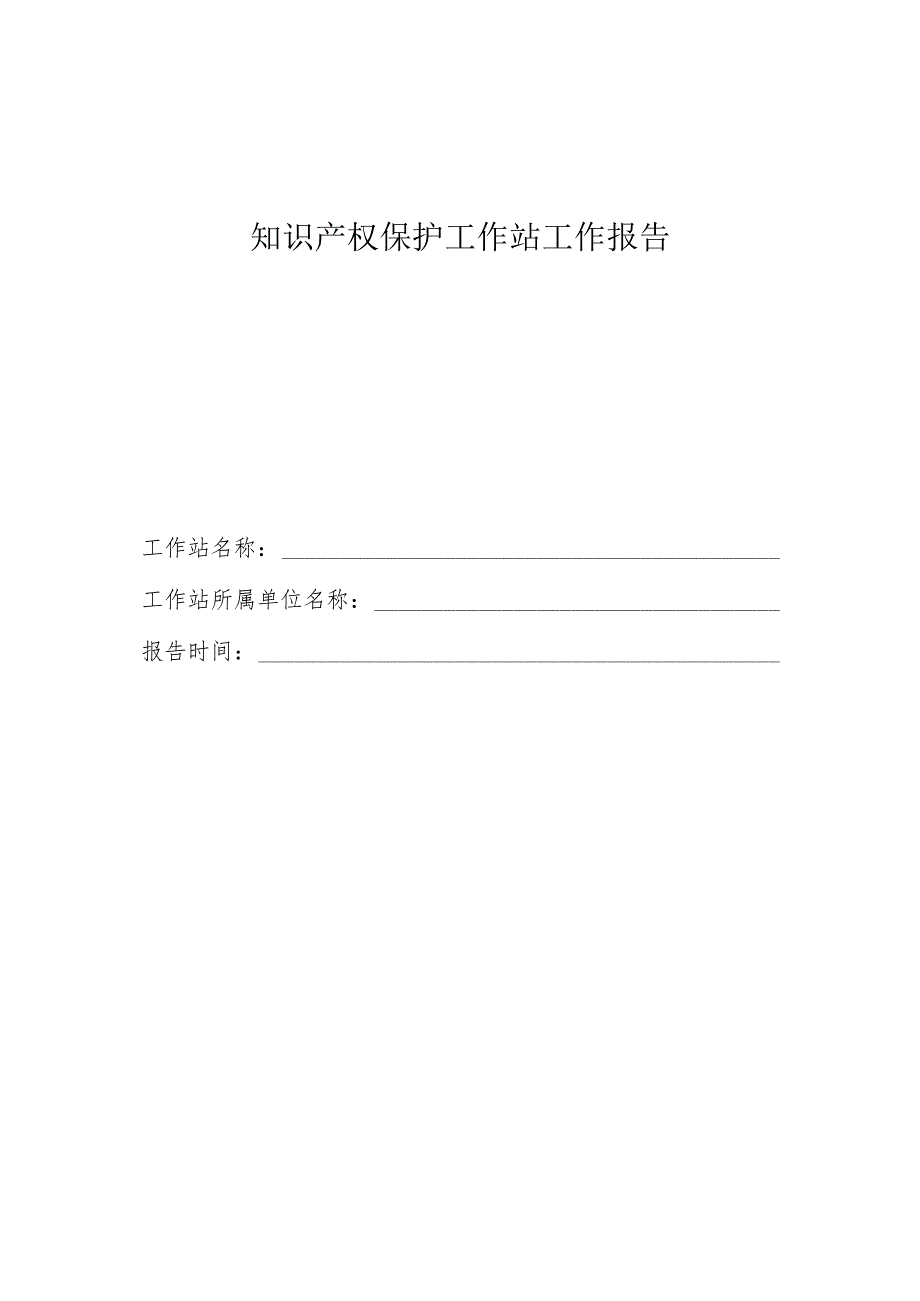 知识产权保护工作站工作报告.docx_第1页