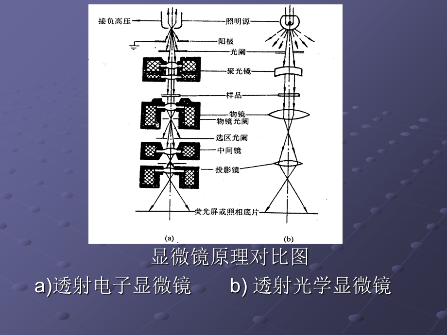 实验一透射电镜的结构与组织观察.ppt_第2页