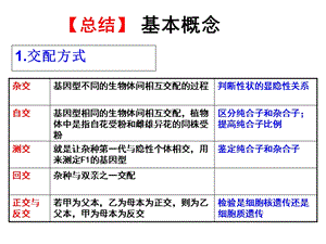 基因分离定律概念归纳及解题技巧专题.ppt