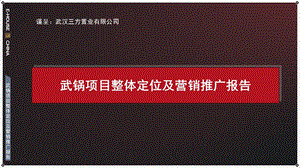 武汉武锅项目整体定位及营销推广报告133页.ppt