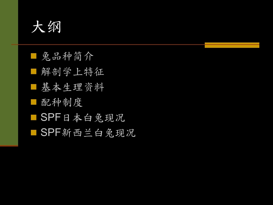 实验用兔饲养管理简介.ppt_第2页