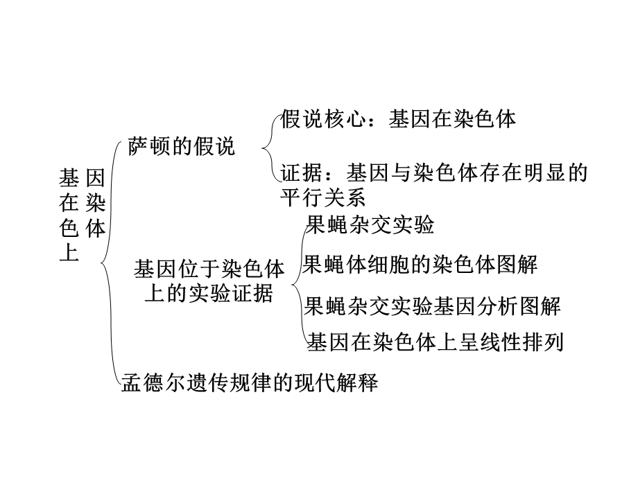 基因在染色体上、伴性遗传复习.ppt_第2页