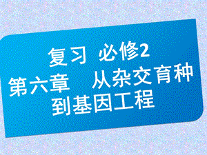 复习必修二第六章从杂交育种到基因工程.ppt