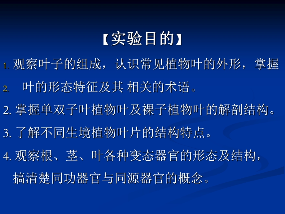 实验六叶的形态结构.ppt_第2页