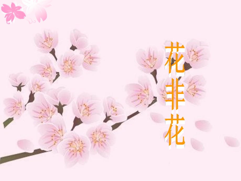 4花非花课件.ppt_第1页