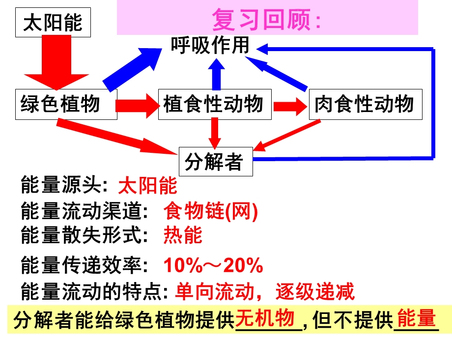 5.3生态系统的物质循环课件王静.ppt_第1页