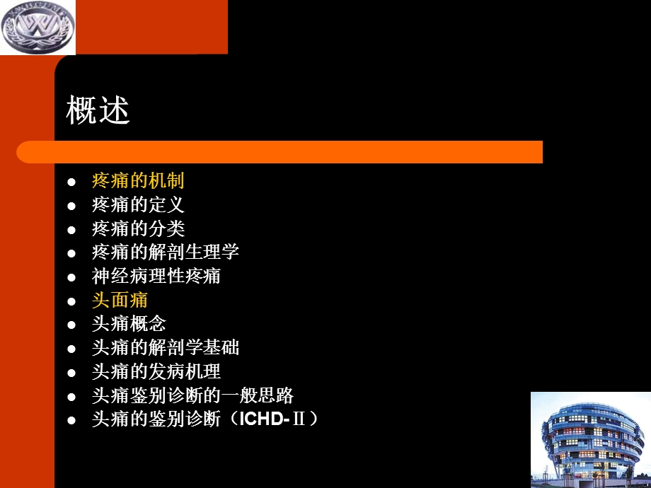 头痛的诊断与治疗.ppt_第2页