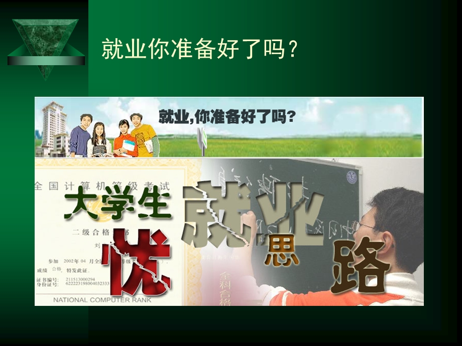 大学生职场竞争力.ppt_第2页