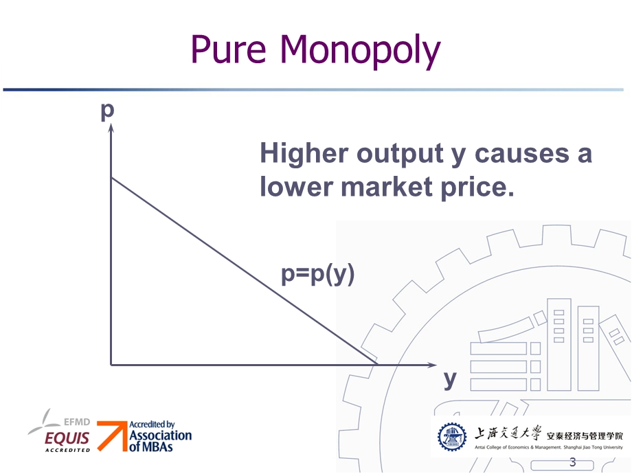垄断与市场定价.ppt_第3页