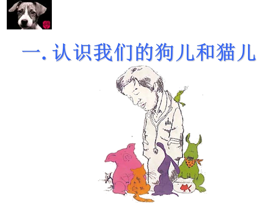 教学课件：第二章-犬猫基础知识.ppt_第3页