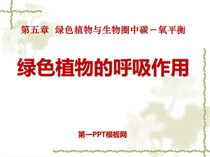 教学课件第二节绿色植物的呼吸作用.ppt