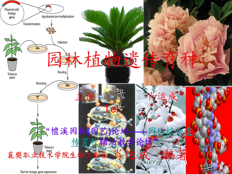 教案知识模块一园林植物遗传育种基本知识.ppt_第1页