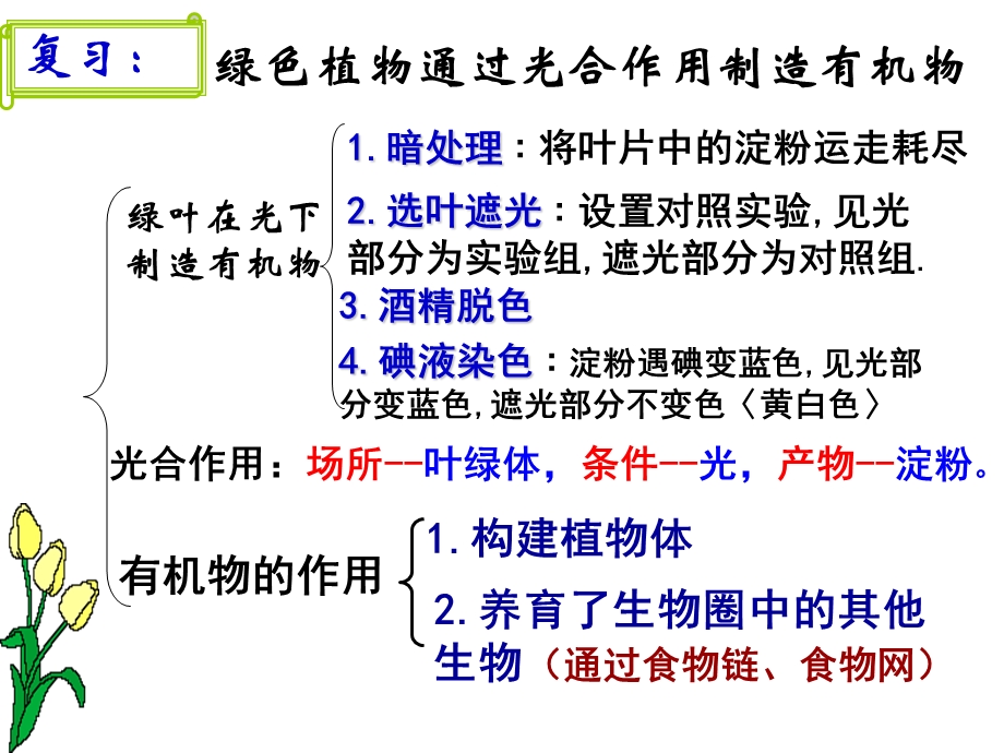 教学课件第一节 光合作用吸收二氧化碳释放氧气.ppt_第1页