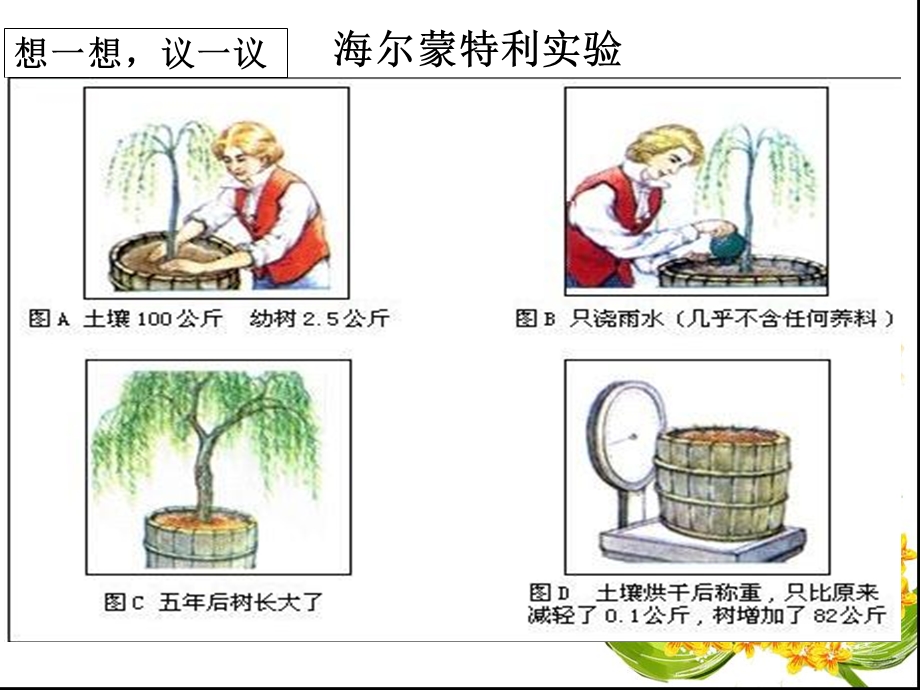 教学课件第一节 光合作用吸收二氧化碳释放氧气.ppt_第3页