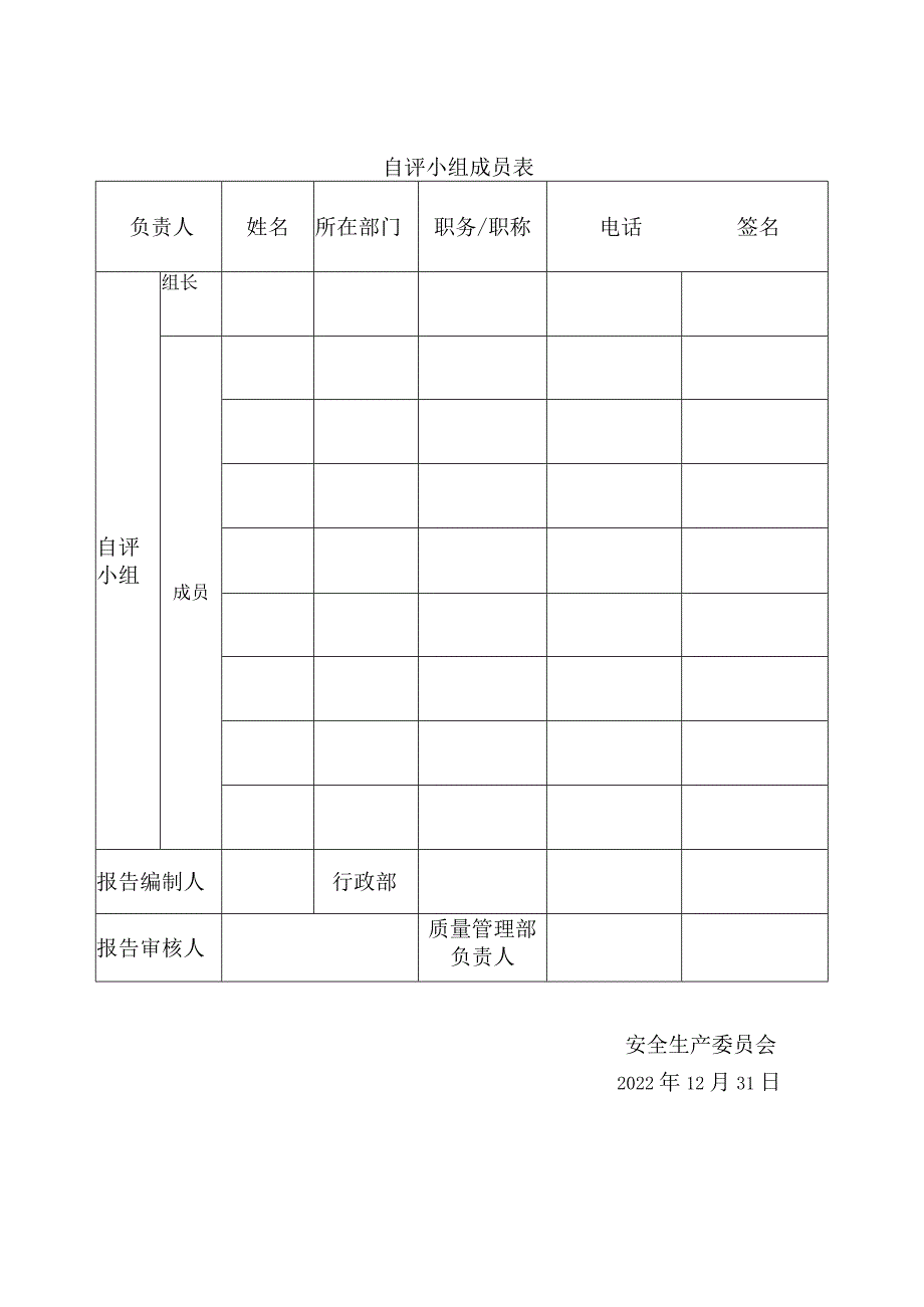 安全标准化自评报告模板.docx_第2页