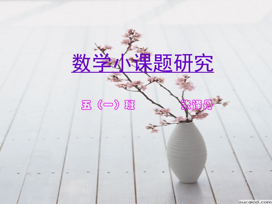 数学小课题研究五一班张译丹.ppt_第1页