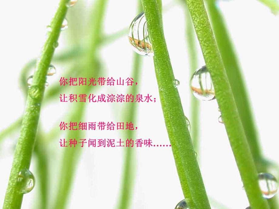 时光老人的礼物.ppt_第3页