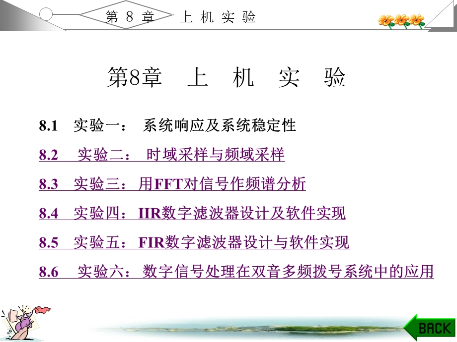 数字信号处理学习指导与课后答案第8章.ppt_第1页