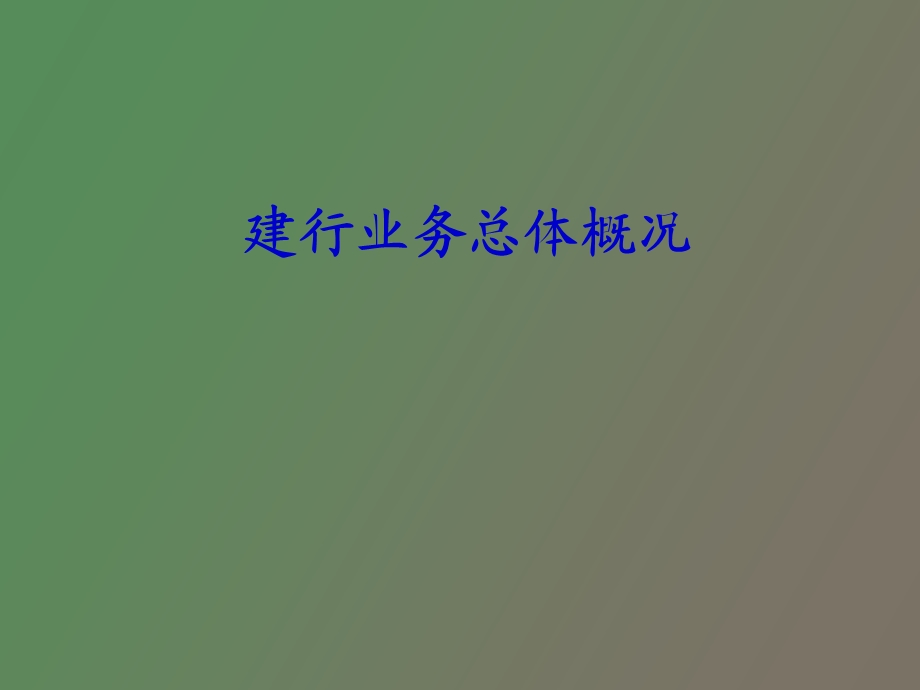 建行业务总体概况.ppt_第1页