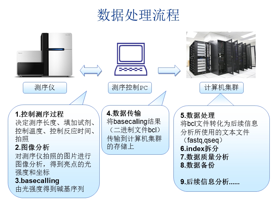 数据处理流程BGI.ppt_第1页