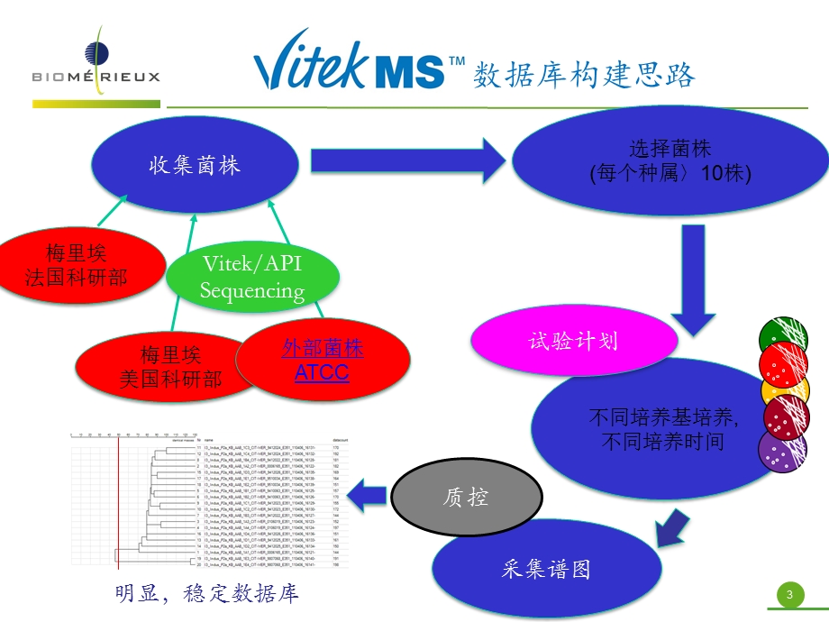 梅里埃质谱建库规则.ppt_第3页