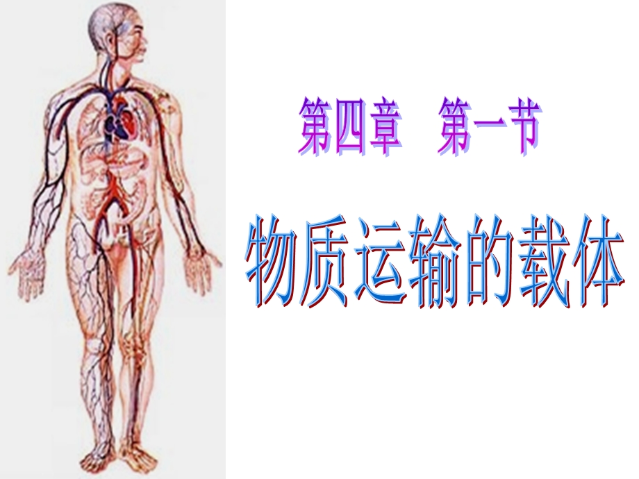 教学课件第四章第一节物质运输的载体.ppt_第2页