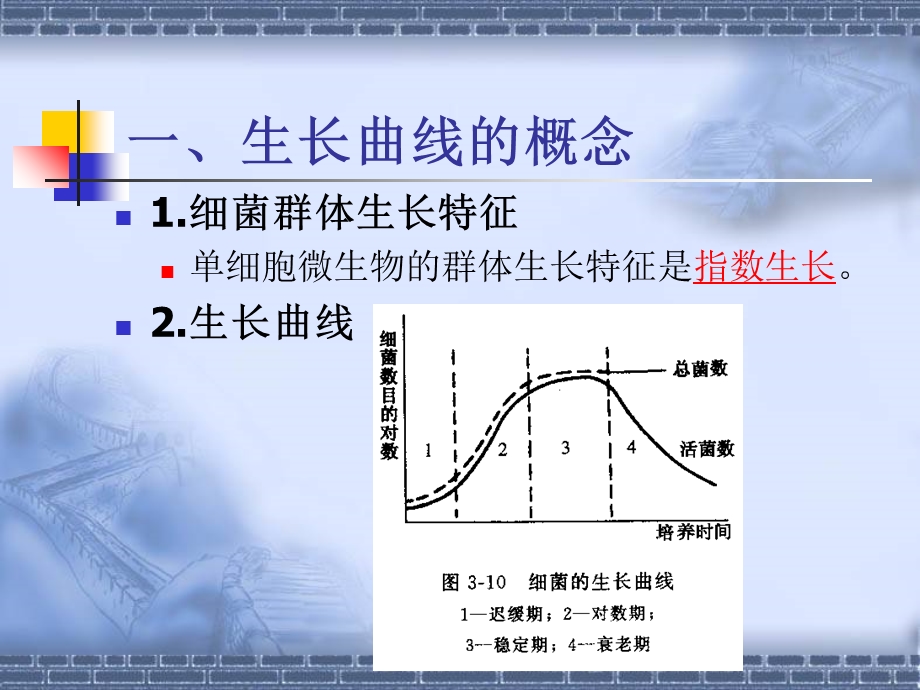 微生物生长曲线及其在污染控制工程中的应用.ppt_第2页