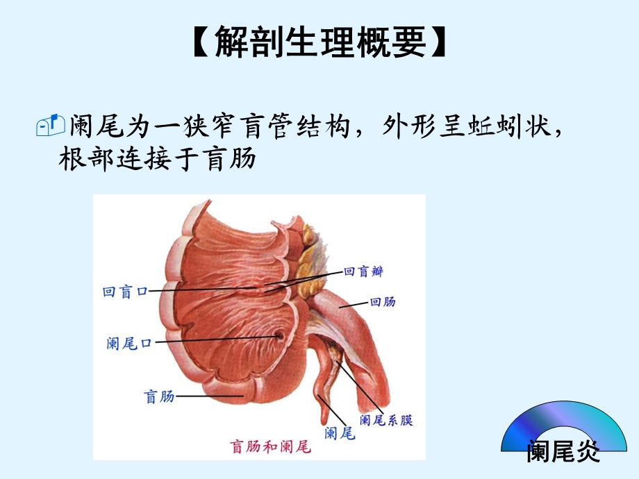 急性阑尾炎患者的护理-PPT课件.ppt_第2页