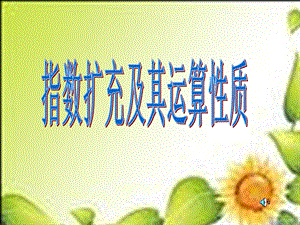 数学必修Ⅰ北师大版3.2.1指数扩充及其运算性质课件.ppt