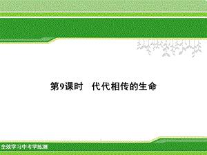 时代代相传的生命资料.ppt