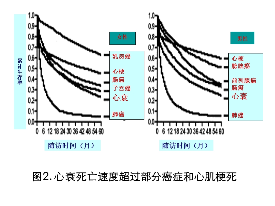 急性心力衰竭的诊治暨悦文-左西孟旦注射液.ppt_第3页