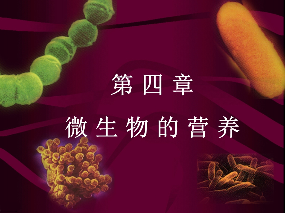 微生物的营养请参考.ppt_第1页