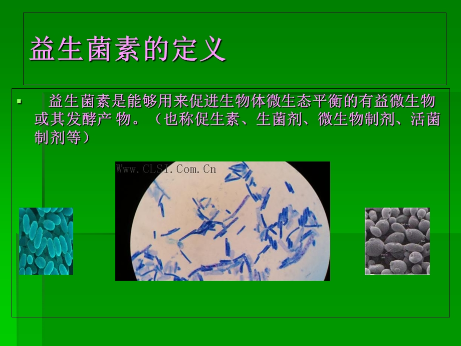 微生物益生菌的作用机理.ppt_第2页