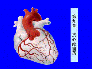 教学课件：第九节-抗心绞痛药.ppt