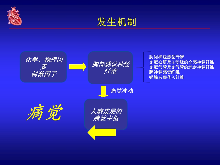 急胸痛的诊断与鉴别诊断.ppt_第3页