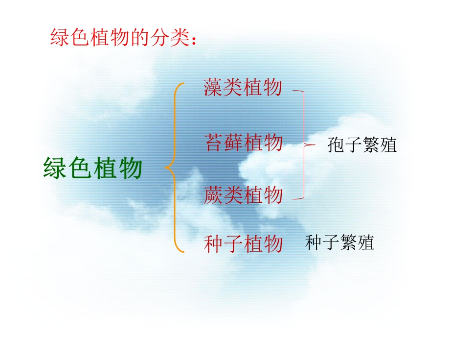 教学课件：第二节-种子植物.ppt_第1页