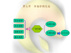 微观经济学7市场结构理论.ppt