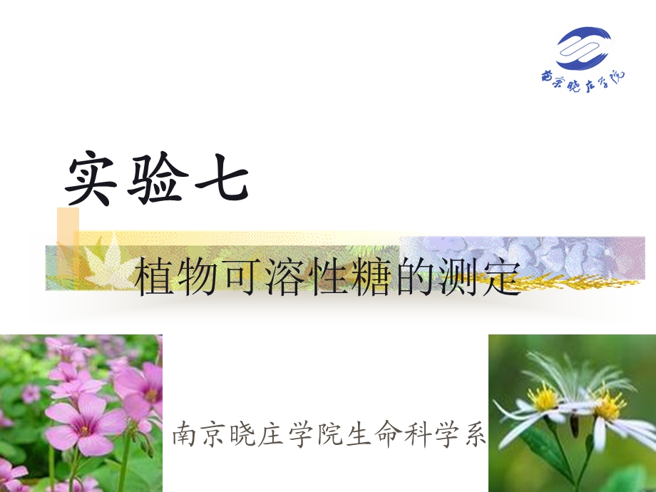 植物可溶性糖含量检测.ppt_第1页