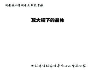 教科科版学六年级下册《放大镜下的晶体》.ppt