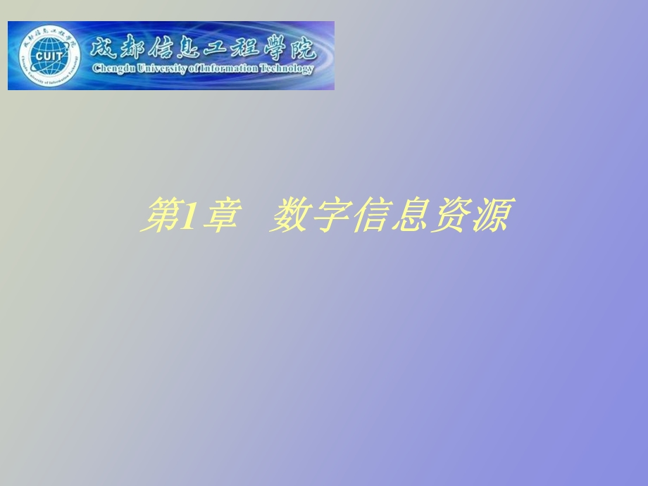 数字信息资源.ppt_第1页