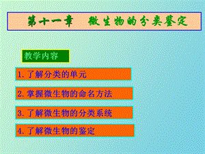 微生物分类.ppt