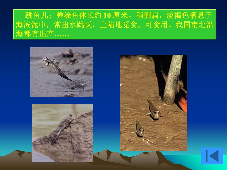 快速阅读课文616自然段思考填空.ppt_第3页