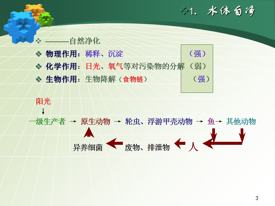 微生物生态2水体自净和污染水体的微生物TO学生.ppt_第3页