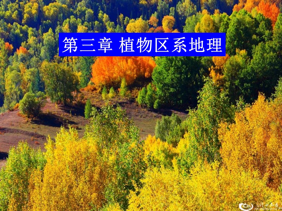 植物地理课件第三章.ppt_第1页