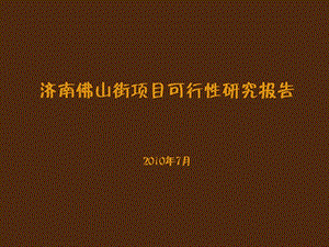 济南佛山项目可行性研究报告100P.ppt