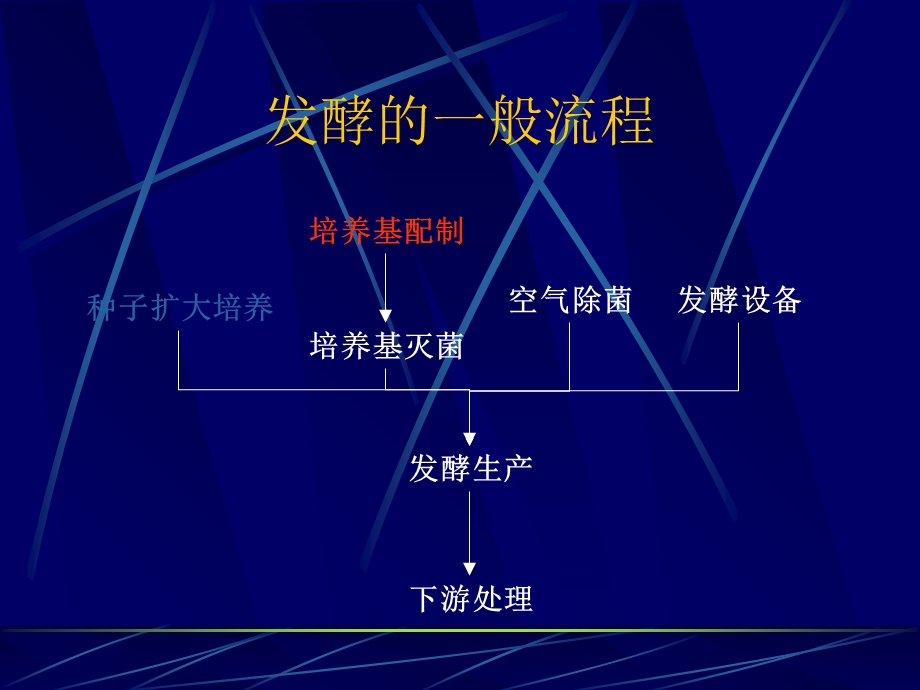 微生物工程-03培养基.ppt_第2页