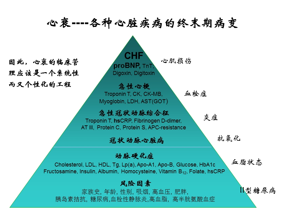 心衰指南的解读以及NT-proBNP的价值.ppt_第2页