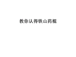 教你认得铁山药棍.ppt