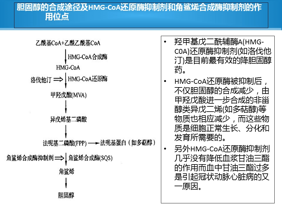 微生物与生化药学专业英语.ppt_第3页