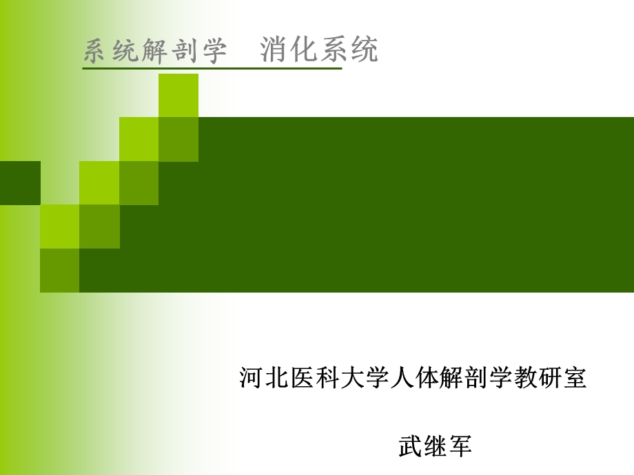 教学课件：第二章-消化系统.ppt_第3页